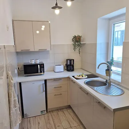 Apartmán Salvich *